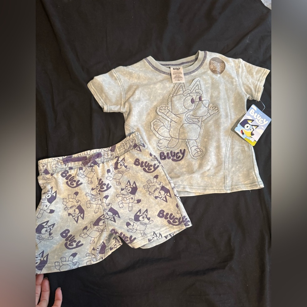 Bluey set NWT
